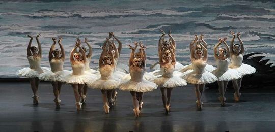  Houston Ballet Swan Lake Tickets